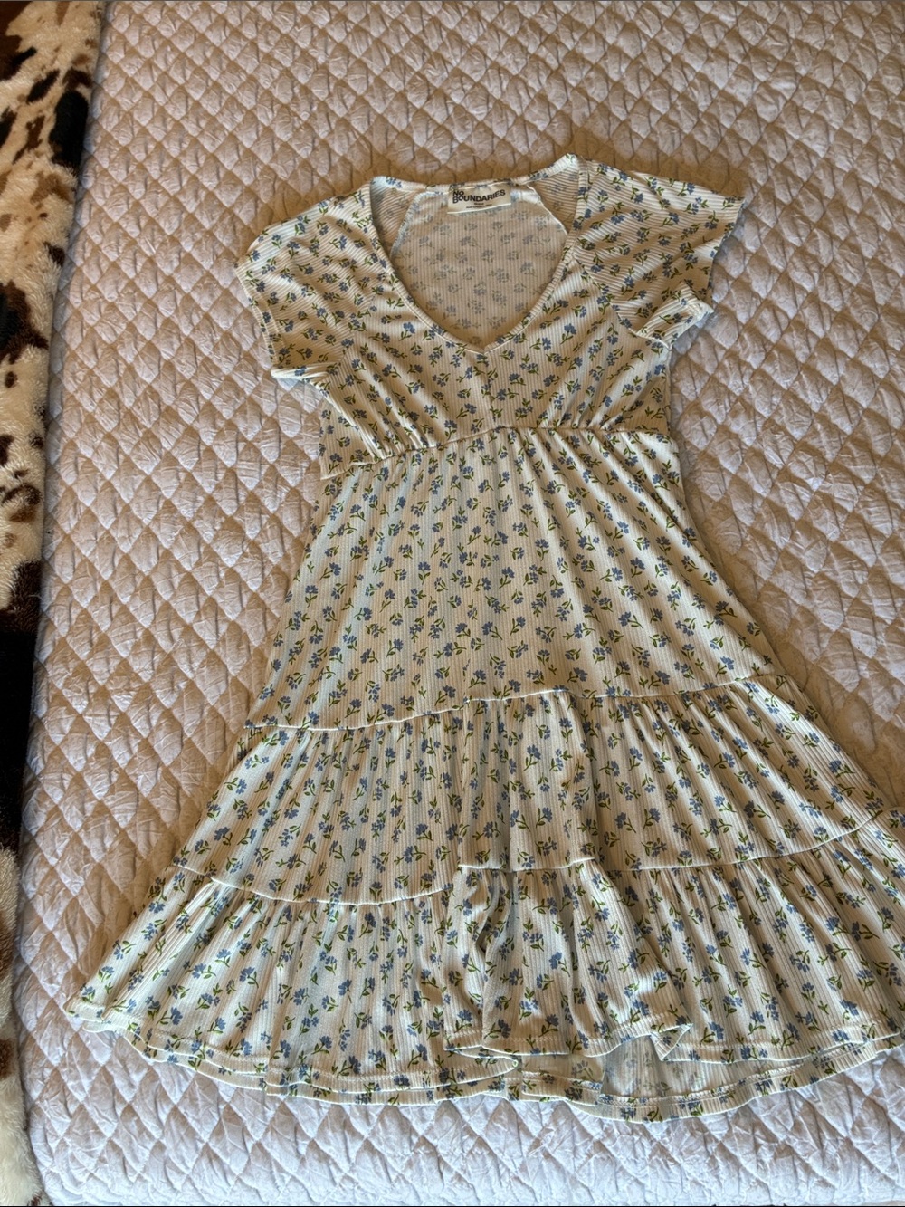 No Boundaries Cream Dress with Blue Floral Print